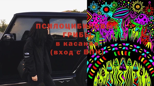 Альфа ПВП Гусь-Хрустальный