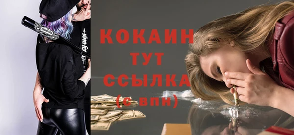 Альфа ПВП Гусь-Хрустальный
