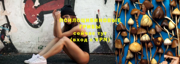 а пвп мука Гусев