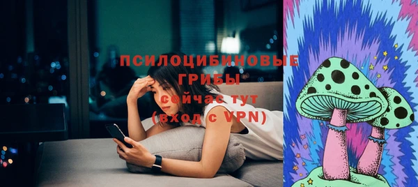 а пвп мука Гусев