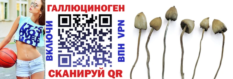 Галлюциногенные грибы ЛСД  Томилино 